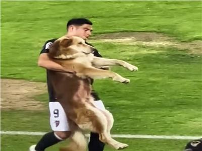 شاهد| كلب يقتحم ملعب ويخطف كرة القدم أثناء المباراة 