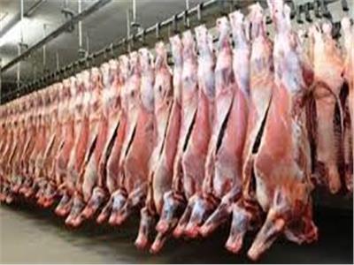 تفاصيل خطة «الزراعة» لتوفير اللحوم والماشية مع اقتراب عيد الأضحى