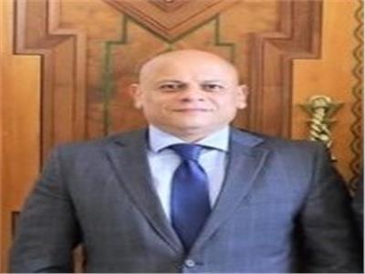 القائم بأعمال السفارة المصرية بطرابلس يشارك في الجلسة العامة لمجموعة العمل الأمنية 