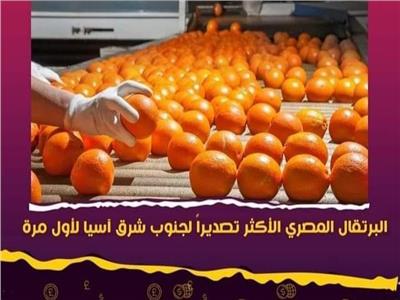 لأول مرة.. البرتقال المصري يحتل المرتبة الأولى في صادرات دول جنوب شرق آسيا