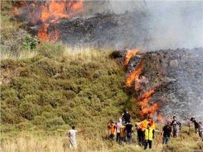 مستوطنون إسرائيليون يحرقون أراضي زراعية في رام الله ويعتدون على مالكيها بحماية الاحتلال