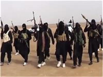 تحذيرات من خطر «داعش» في دول المغرب العربي