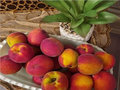 استقرار أسعار الفاكهة بسوق العبور اليوم الخميس