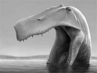 دراسة مثيرة للجدل تكشف ديناصور ضخم من البرازيل يأكل «مثل البجع» 