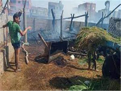 نفوق 7 رؤوس ماشية في حريق بحظيرة مواشي بالدقهلية