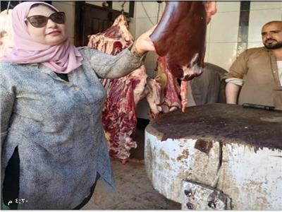 حملة مكبرة لأجهزة محافظة الغربية لضبط المواد الغذائية واللحوم الغير صالحة