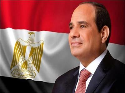 عطية الطنطاوي: الرئيس السيسي أعاد العلاقات المصرية القوية مع دول أفريقيا