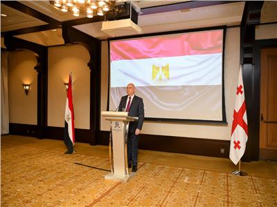 تيجيشفيلي : العلاقات بين مصر وجورجيا راسخة ونثمن مساندة القاهرة لاستقلالنا 