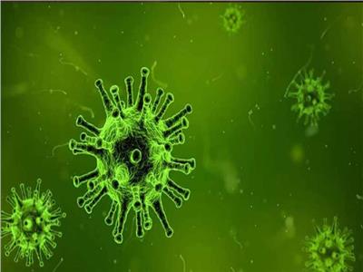 «التايمز»: محققون أمريكيون يدعون أن فيروس كورونا تسرب من الصين
