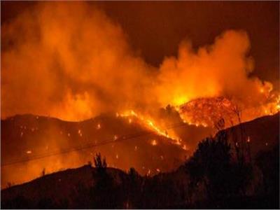 السجن ثماني سنوات لمزارع تسبب بأعنف حريق غابات في قبرص