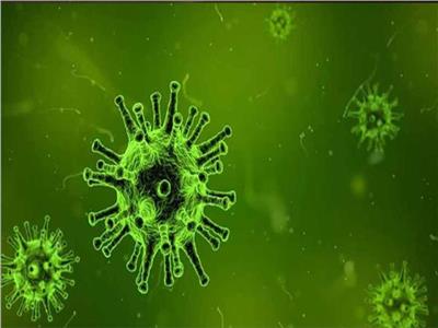 «فيروس كورونا.. كيف نجحت المنظومة الطبية في حماية المواطنين»؟  |تقرير
