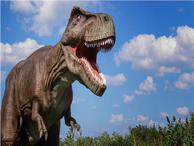 الديناصورات آكلة العشب تجوب سهول أنهار جنوب شيلي قبل 72 مليون سنة| فيديو