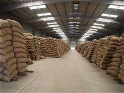 أستاذ اقتصاد زراعي: مصر أصبحت مركزًا لوجيستيًا في تداول الحبوب وتخزينها