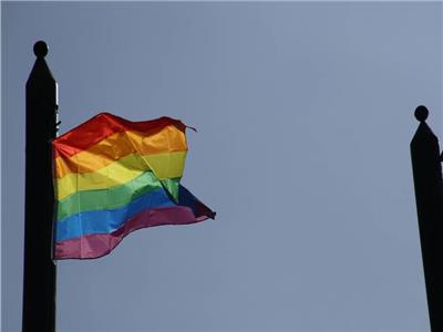 البرلمان الإستوني يشرع زواج المثليين