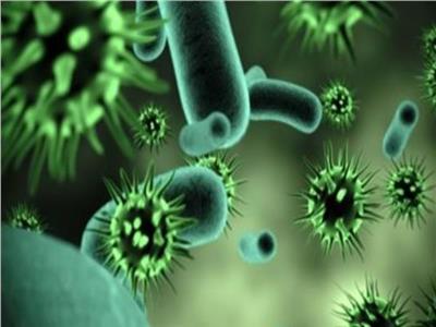 نشرة في دقيقة| اليابان تعلن عن أول وفاة في العالم بفيروس أوز