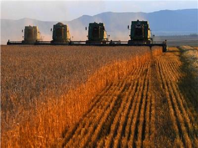 تقرير أممي يكشف عن خسائر أوكرانيا حال توقف «صفقة الحبوب»