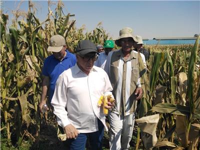 حملات لتفقد برامج تربية أصناف المحاصيل الصيفية الجديدة ببني سويف