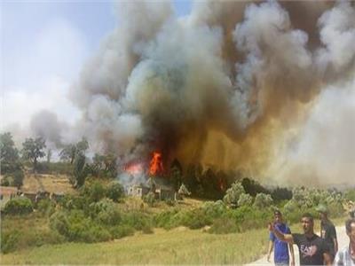 تحطم طائرة طوارئ أثناء مشاركتها في عمليات إطفاء حرائق الغابات باليونان