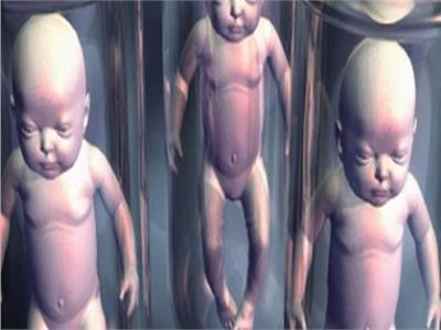 حكم تحديد الجنين عن طريق التلقيح المجهري أوأطفال الأنابيب.. الإفتاء تُجيب