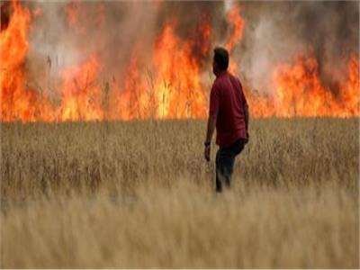 الجزائر: إخماد جميع الحرائق المندلعة في عدة مدن باستثناء حريق واحد