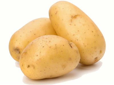 أسعار الخضراوات اليوم في سوق العبور.. البطاطس تبدأ من 7.5 جنيه