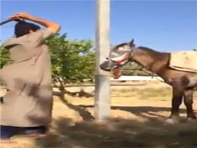 المتهمان بتعذيب «حصان» في الجيزة: «مش عايز يتحرك» 