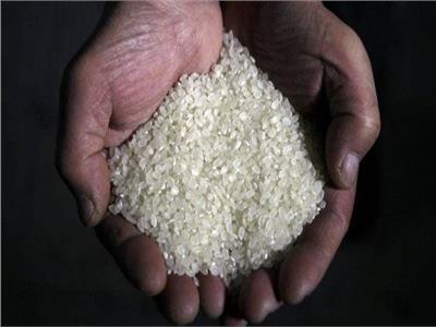 إمدادات الأرز.. خطر يواجه الأمن الغذائي للدول الأشد فقرًا مع توقف صفقة الحبوب