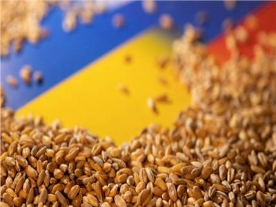 أوكرانيا: ارتفاع محصول الحبوب بشكل فاق التوقعات