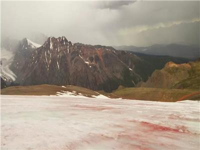 ظاهرة نادرة.. جبل جليدي يتحول للون الوردي| فيديو
