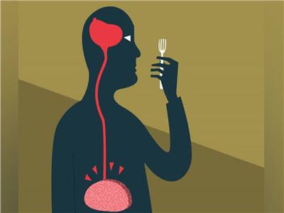 منطقة في الدماغ قد تسبب «جوعاً لا ينتهي»