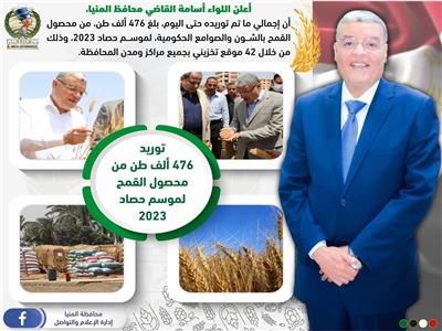 محافظ المنيا: شون وصوامع المحافظة تواصل استقبال القمح  