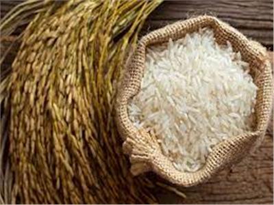  أهمها تدوين السعر..  ضوابط جديدة لتداول الأرز بالأسواق  