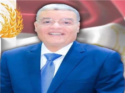 صوامع المنيا تواصل استقبال القمح.. وتوريد 477 ألف طن حتى الآن