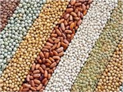 أسعار الحبوب والبقوليات اليوم الأحد 13 أغسطس