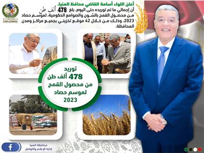 توريد 478 ألف طن من محصول القمح في المنيا حتى الآن