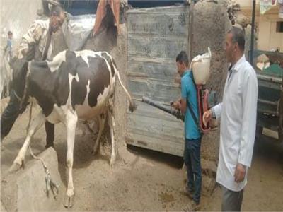  قافلة طبية بيطرية توعوية وقائية بالمجان بقرية منزل حيان مركز ههيا بالشرقية   