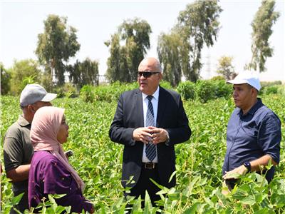 ضمن مشروع الــ 1000 فدان .. الداودي يتفقد محصول الفول الصويا بمدينة قنا 