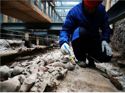 اكتشاف هيكل عظمي لحيوان «الباندا العملاقة» بالقرب من قبر الإمبراطور الصيني