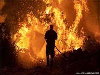 تونس: حريق هائل يجتاح غابات أقصى شمال غرب البلاد