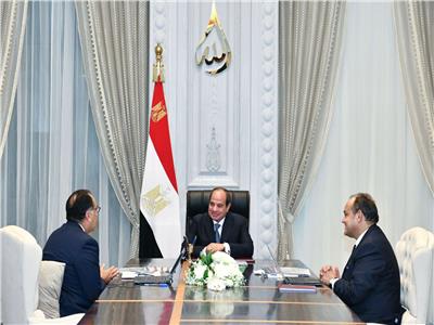 توجيه هام الرئيس السيسي بشأن الصناعة المصرية