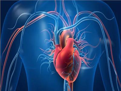 نصائح طبية | 6 علامات لفشل القلب
