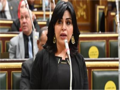برلمانية: الرئيس السيسي حريص على دعم أسر الشهداء