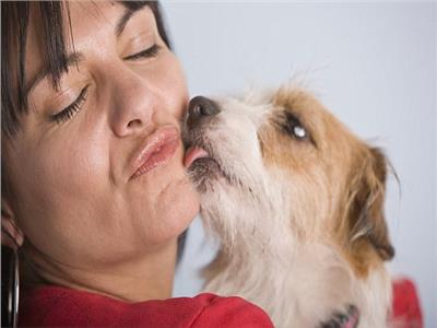 خبراء يحذرون من تقبيل الحيوانات الأليفة 