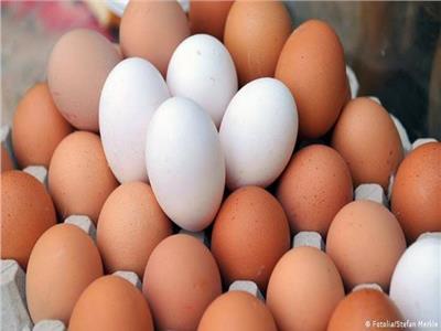 منتجو الدواجن: ارتفاع أسعار البيض لزيادة الطلب وانخفاض المعروض | خاص