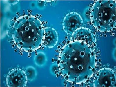 استشاري حساسية ومناعة: الأمراض الفيروسية لا تُعالج بالمضادات الحيوية
