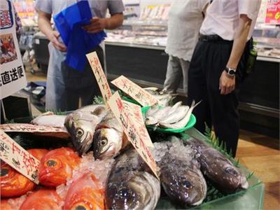 الحكومة اليابانية تعتزم تكثيف دعواتها للصين لإنهاء تعليق واردات المأكولات البحرية