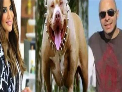 تأجيل محاكمة زوج المذيعة أميرة شنب في واقعة وفاة مدير بنك بسبب «عضة كلب»