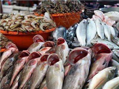أسعار الأسماك بسوق العبور اليوم 10 أكتوبر