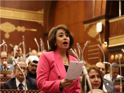 «تضامن الشيوخ»: مصر تعلم المخططات الخبيثة لمحاولة توطين الفلسطينيين في سيناء 