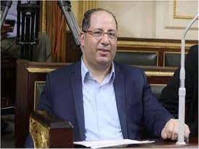 برلماني: توجيهات السيسي بإرسال مساعدات لغزة تأكيد على دور مصر التاريخي